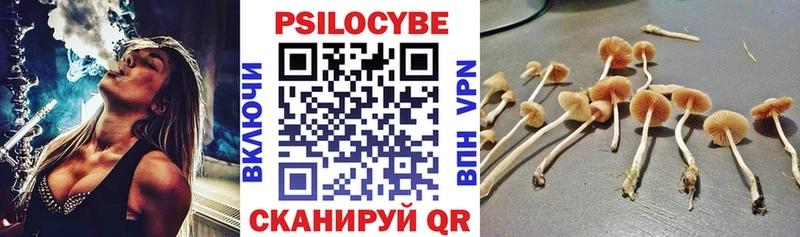 продажа наркотиков  Михайловка  Псилоцибиновые грибы мицелий 