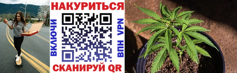 Канабис сатива МЕГА зеркало Михайловка